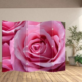 Paraván - Ruže (210x170 cm)