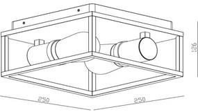 Lucide 27100/02/30 - Kúpeľňové stropné svietidlo CARLYN 2xE14/6W/230V IP54