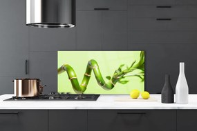 Sklenený obklad Do kuchyne Bambus rastlina príroda 125x50 cm