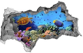 Diera 3D fototapeta nálepka Koralový útes nd-b-35544351