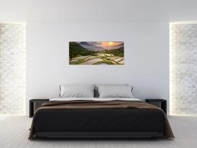 Obraz - Ryžové terasy (120x50 cm)