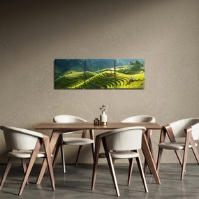 Obraz - Koncert ryžových terás (s hodinami) (90x30 cm)