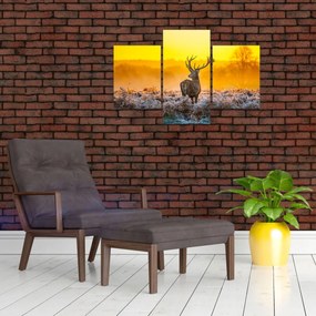 Obraz - Jeleň pri východe slnka (90x60 cm)