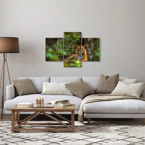 Obraz odpočívajúceho tigra (90x60 cm)