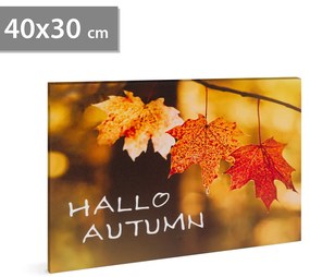 LED obraz - "Hello autumn" - 2 x AA , 40 x 30 cm