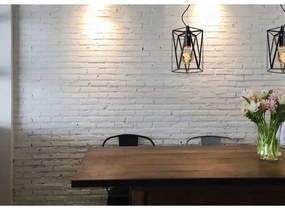 Lucide 25407/01/30 - Luster na lanku FERN 1xE27/60W/230V