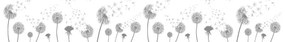 Samolepka na okno 200x40 cm Dandelions - Ambiance