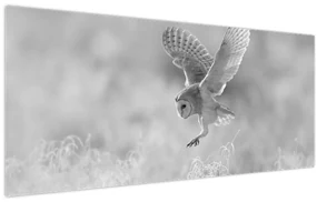Obraz - Sova, čiernobiela (120x50 cm)
