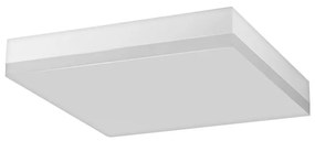LED Stropné svietidlo LED/12W/230V IP44
