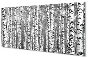Nástenný panel  Čierna a biela strom 100x50 cm