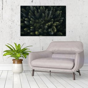 Obraz - Les (90x60 cm)