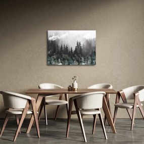 Obraz - Les s ilustrovanými prvkami (70x50 cm)