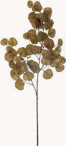 Rastlinné dekorácie Eucalyptus, 2 ks