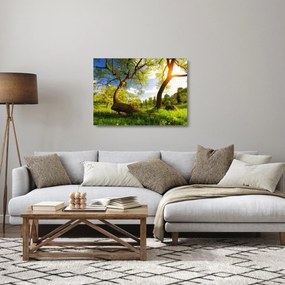 Sklenený obraz jarnej lúky (70x50 cm)