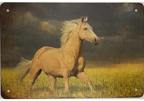 Ceduľa Kôň 40 x 30 cm