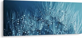 Obraz - Kvapky rosy (120x50 cm)
