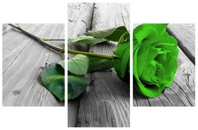 Obraz zelenej ruže (90x60 cm)