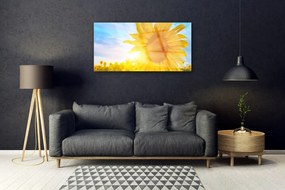 Skleneny obraz Slnečnica kvet slnko 100x50 cm