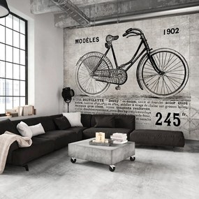 Artgeist Fototapeta - Bicycle (Vintage) Veľkosť: 100x70, Verzia: Premium