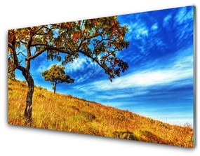 Obraz plexi Lúka strom príroda 100x50 cm