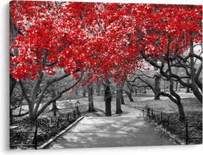 Obraz - Červené stromy, Central Park, New York (70x50 cm)