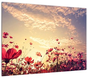 Obraz - Lúka s kvetmi (70x50 cm)