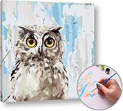 Maľovanie podľa čísel MÚDRA SOVA  – nízka náročnosť