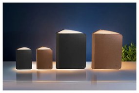 Čierna svetelná dekorácia na USB Booklight – Gingko