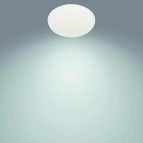 Philips - LED Stmievateľné stropné svietidlo TOBA 1xLED/23W/230V + DO