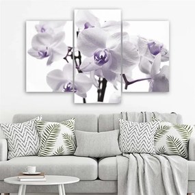 Gario Obraz na plátne Biela fialová orchidea - 3 dielny Rozmery: 60 x 40 cm