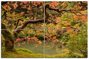 Obraz na plátne - Červený javor jeseň 1241E (90x60 cm)
