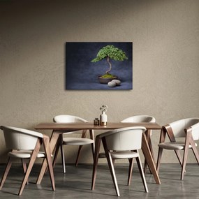 Obraz - Bonsai (70x50 cm)