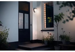 Philips 17383/93/PN - Vonkajšie nástenné svietidlo KISKADEE 1xE27/42W/230V IP44