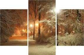 Obraz - Zasnežený park (90x60 cm)