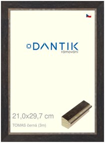 DANTIK rám na obraz 21x29,7 | TOMAS černá (Sklo Čiré)