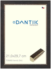 DANTIK rám na obraz 21x29,7 | TOMAS černá (Sklo Čiré)