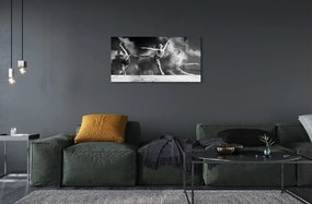 Sklenený obraz Dámska Balerínky dym 100x50 cm