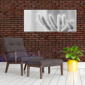 Obraz - Bunny tail grass (120x50 cm)