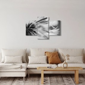 Obraz - Makro, čiernobiela (90x60 cm)