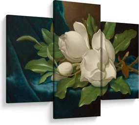 Obraz - Martin Johnson Heade, Giant Magnolias on a Blue Velvet Cloth, reprodukcia (90x60 cm)