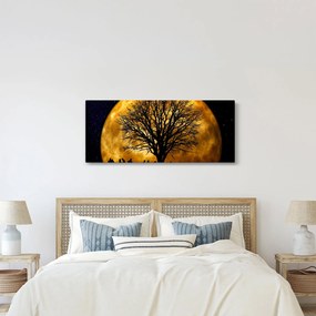 Obraz mesiace a siluet (120x50 cm)