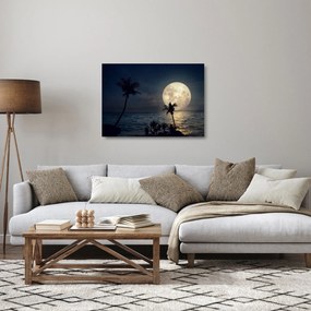 Sklenený obraz - Pláž za splnu (70x50 cm)
