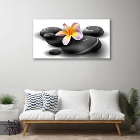 Obraz na plátne Kvety kamene príroda 125x50 cm