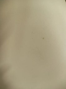 AKCIA Jedálenská stolička OSAKA plastová, biela II. akosť