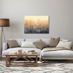 Obraz mrazivého lesa (70x50 cm)