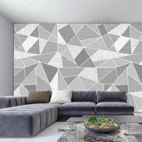 Fototapeta - Polygóny (147x102 cm)