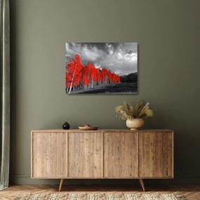 Sklenený obraz - Stromy vo farbe jesene (70x50 cm)