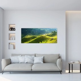 Obraz - Koncert ryžových terás (120x50 cm)