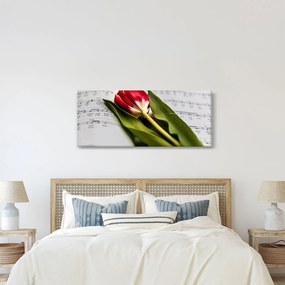 Obraz červeného tulipánu (120x50 cm)