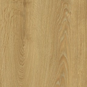 IVC Commercial, PVC podlaha - lino Logitex Ultimate 55 Elias T44, na mieru, šíře 2m,4m, hnedá, filc, chodba / predsieň